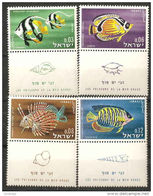 ISRAEL - Poissons 1962 Tab - Fishes