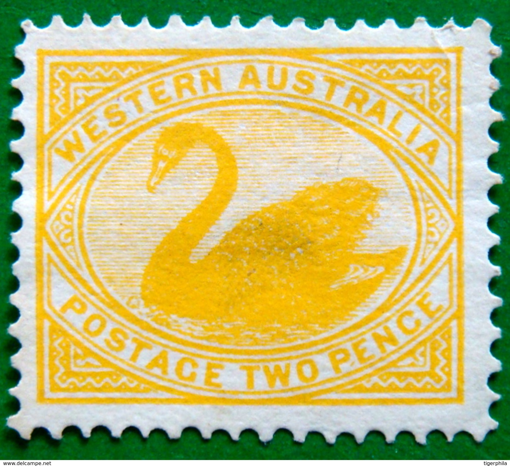 WESTERN AUSTRALIA 1902 2d Swan Mint No Gum WATERMARK : V & CROWN - Used Stamps