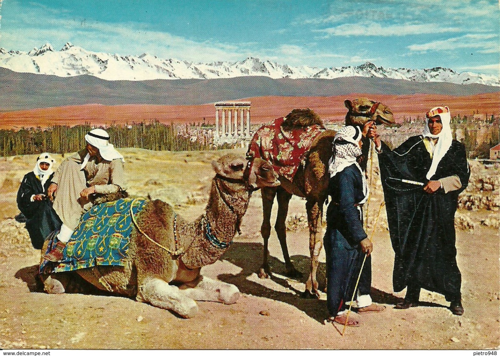 Baalbeck (Libano, Lebanon) General View Of Baalbeck And Camel-drivers, Vue Generale De Baalbeck Et Chamelliers - Libano