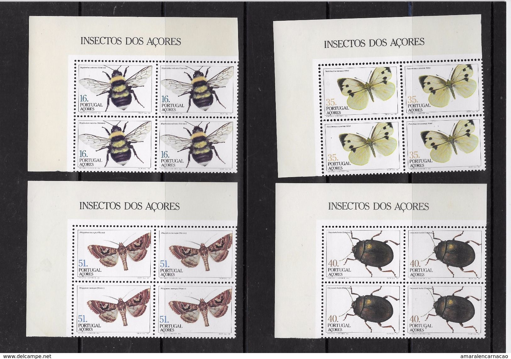 TIMBRES - STAMPS - PORTUGAL - AÇORES 1984 - INSECTES DES AZORES -(1er. Gr.) - SERIE BLOCS 4 TIMBRES NEUFES - BORD FEUILE - Unused Stamps