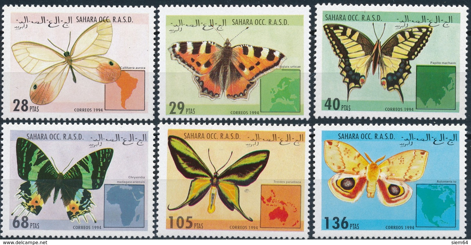 Sahara Occ.R.A.S.D. Butterflies - Vlinders