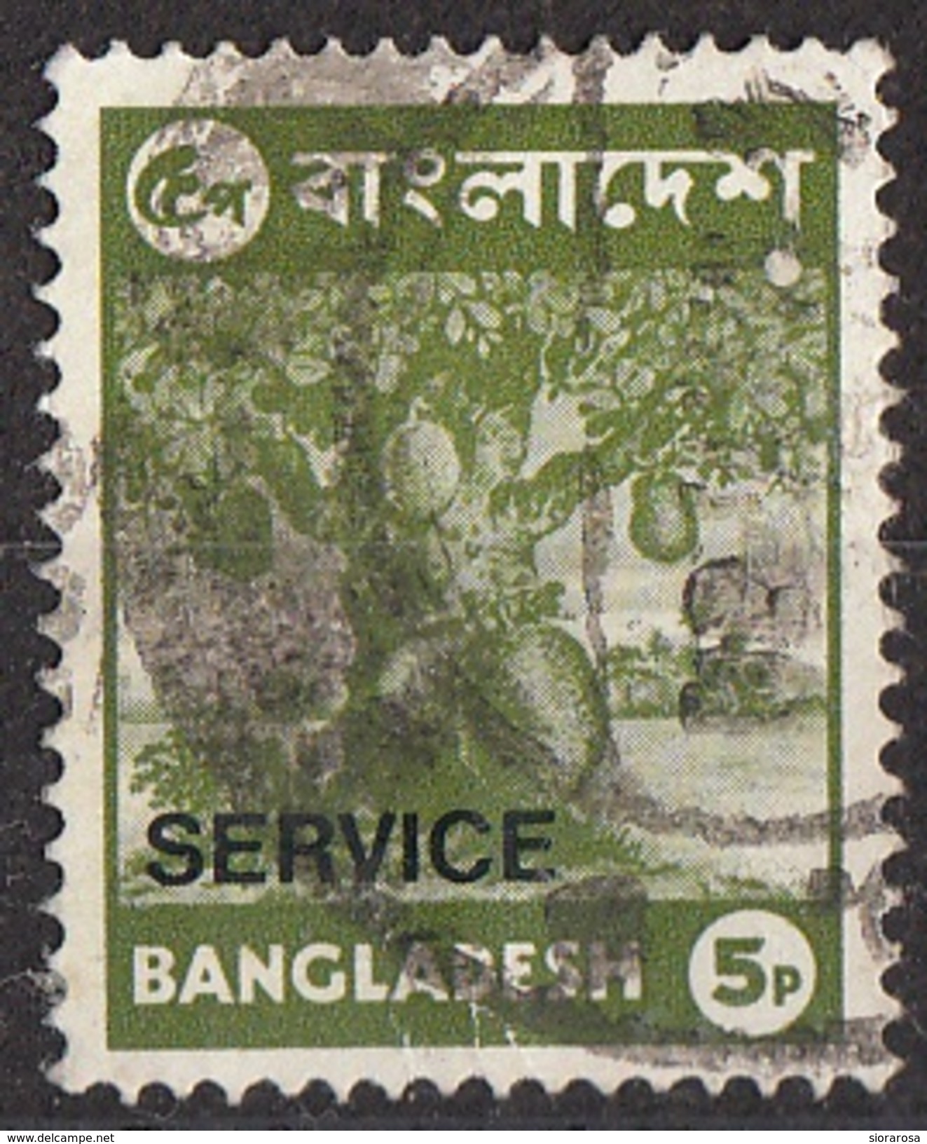 Bangladesh 1976 Sc. O16 Official Stamps Overprinted Service Jack Fruit Used - Bangladesh