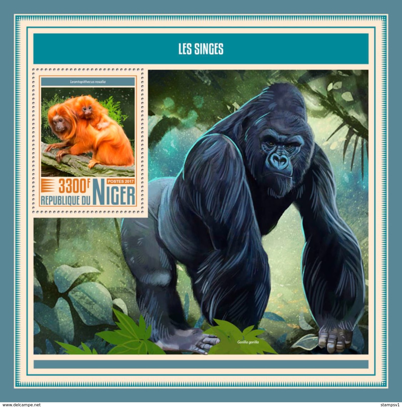 Niger. 2017 Monkeys. (507b) - Gorillas