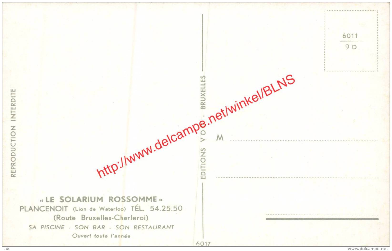 Le Solarium Rossomme - Plancenoit - Lasne