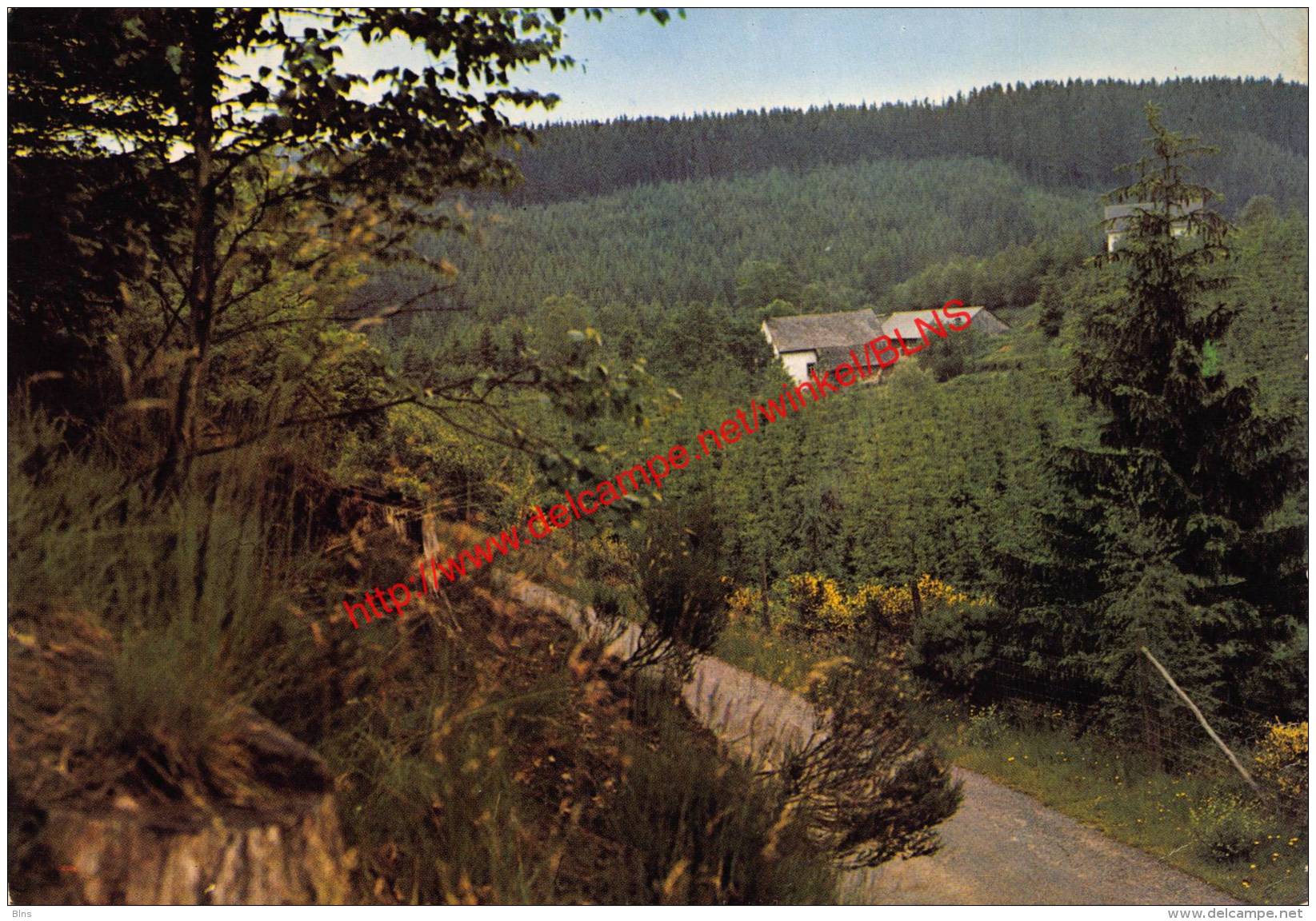 Igelmondermühle - Manderfeld - Bullange - Büllingen