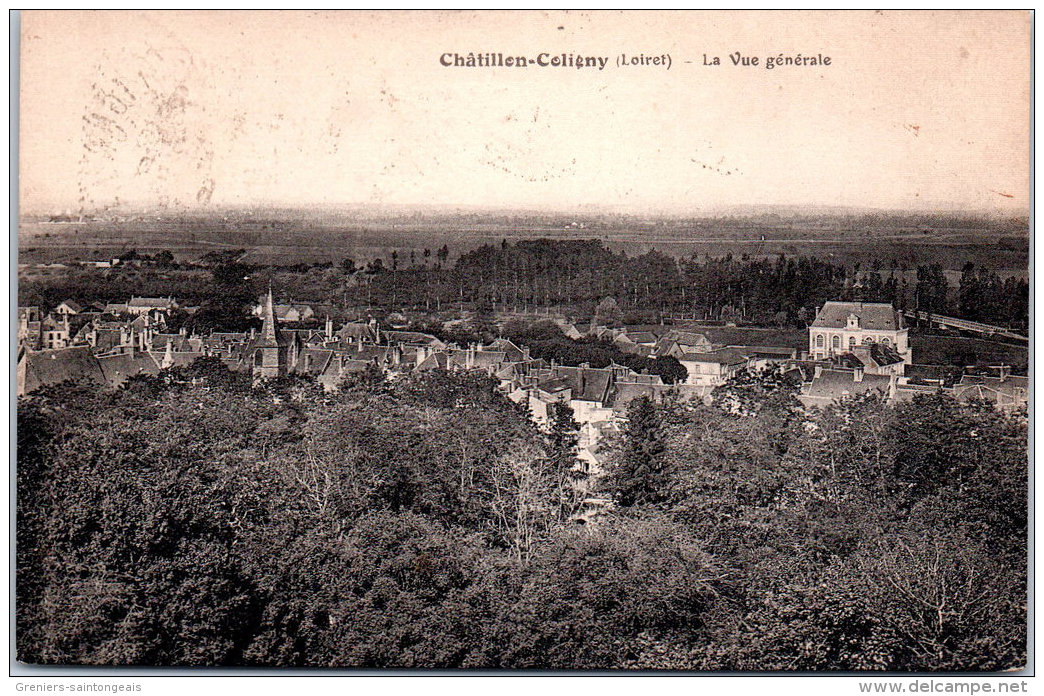 45 CHATILLON COLIGNY - Vue Générale. - Chatillon Coligny