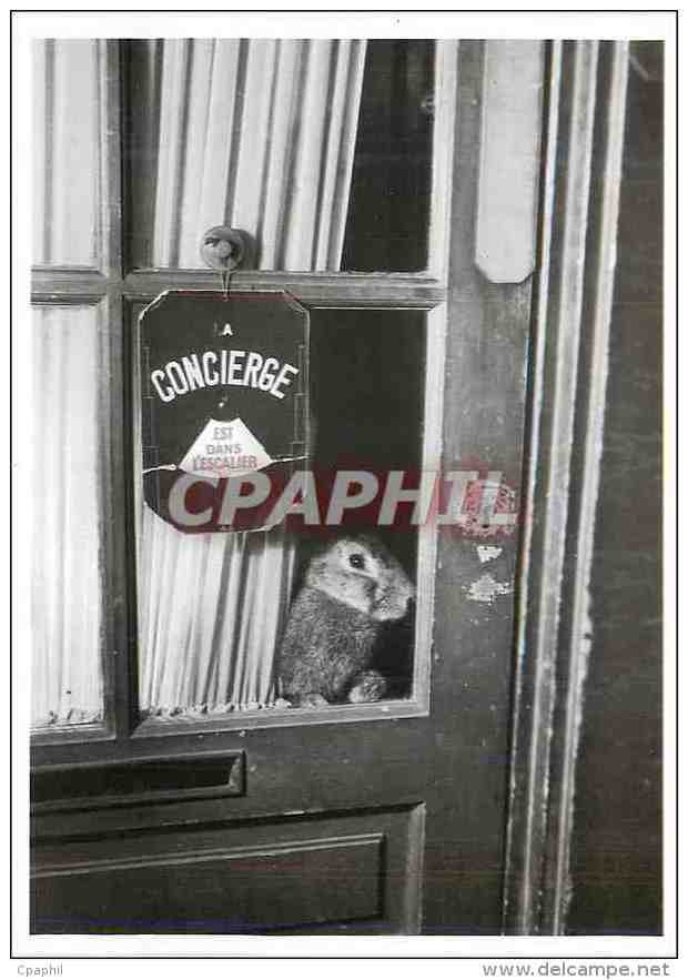 CPM Lapin Robert Doisneau La Concierge Est Dans L'escalier - Autres & Non Classés