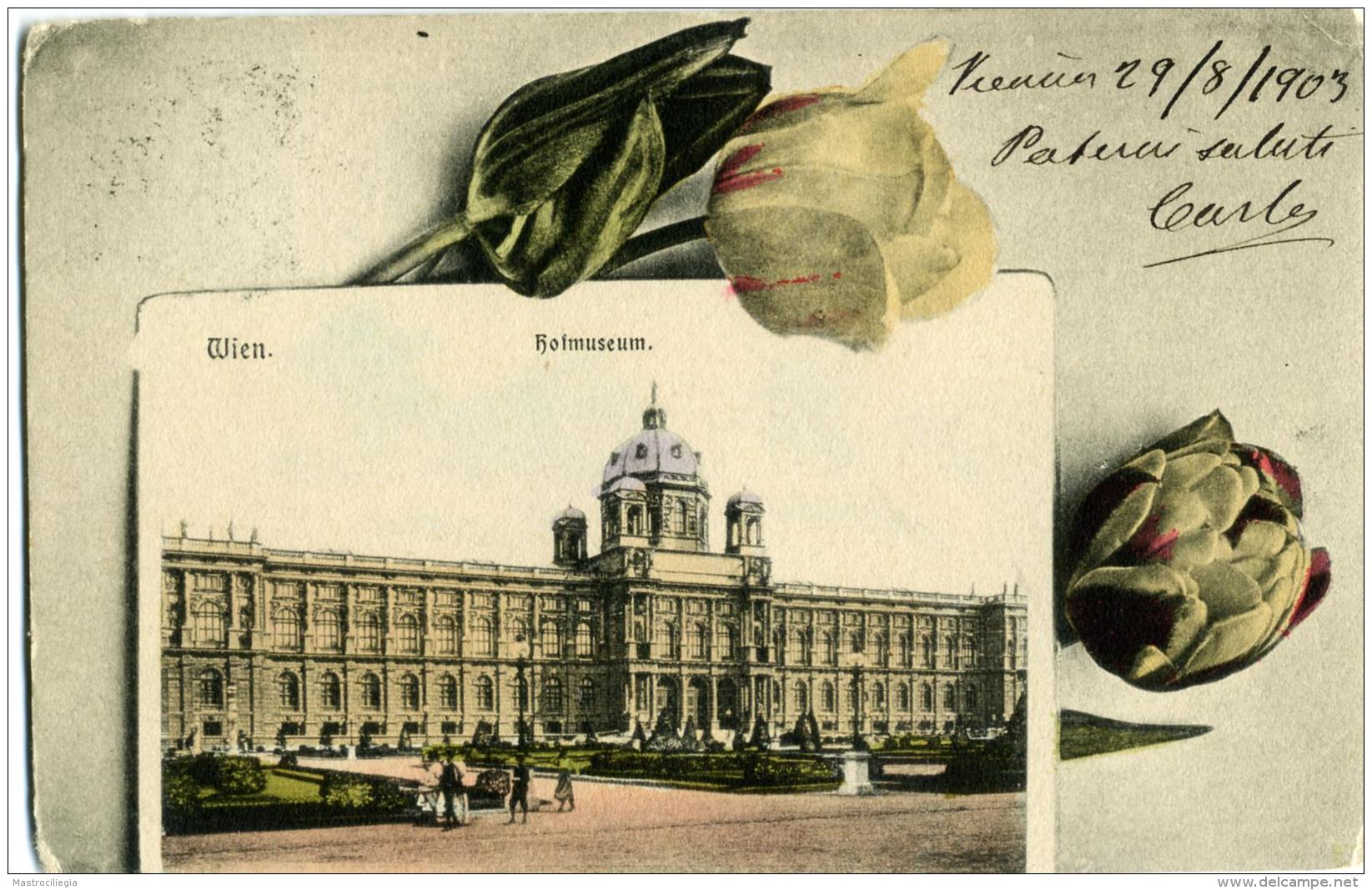 AUSTRIA  WIEN  Hofmuseum  1903 - Musées