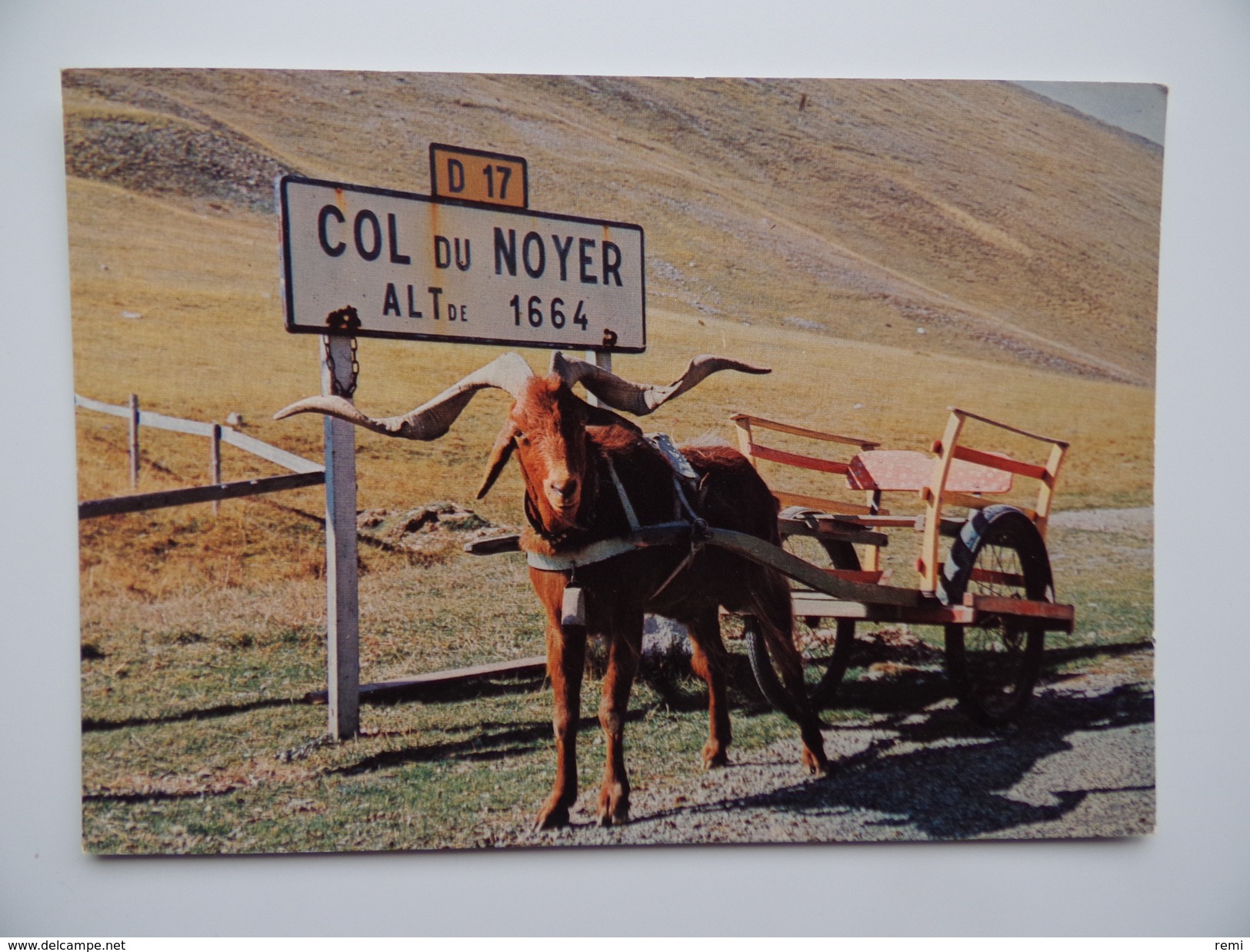 05 COL Du NOYER Attelage De Bouc Chèvre Caprin Champsaur Devoluy - Autres & Non Classés