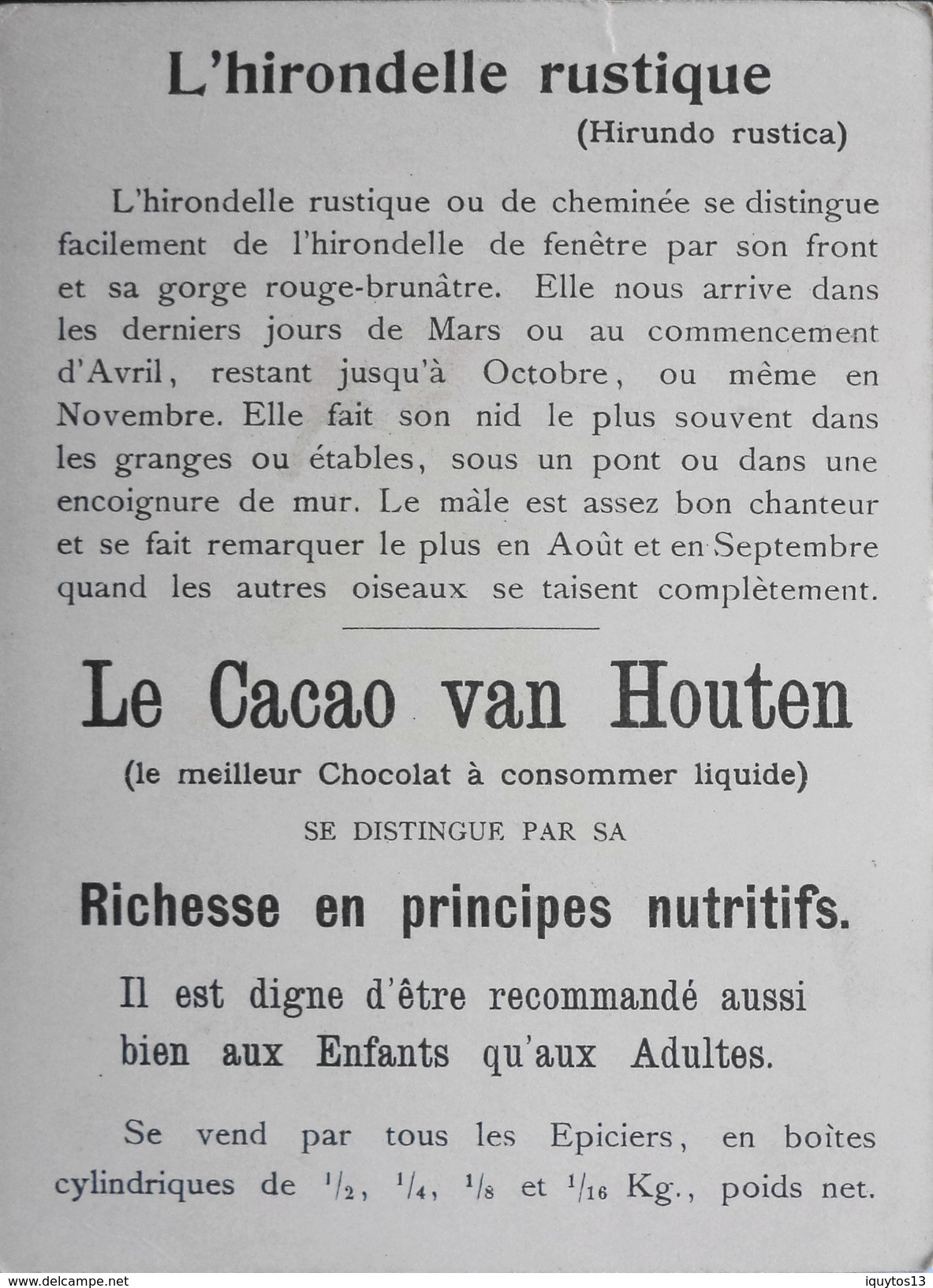 Très Belle Et Grande Chromo. CHOCOLAT Et CACAO VAN HOUTEN - L'Hirondelle Rustique - BE - Van Houten