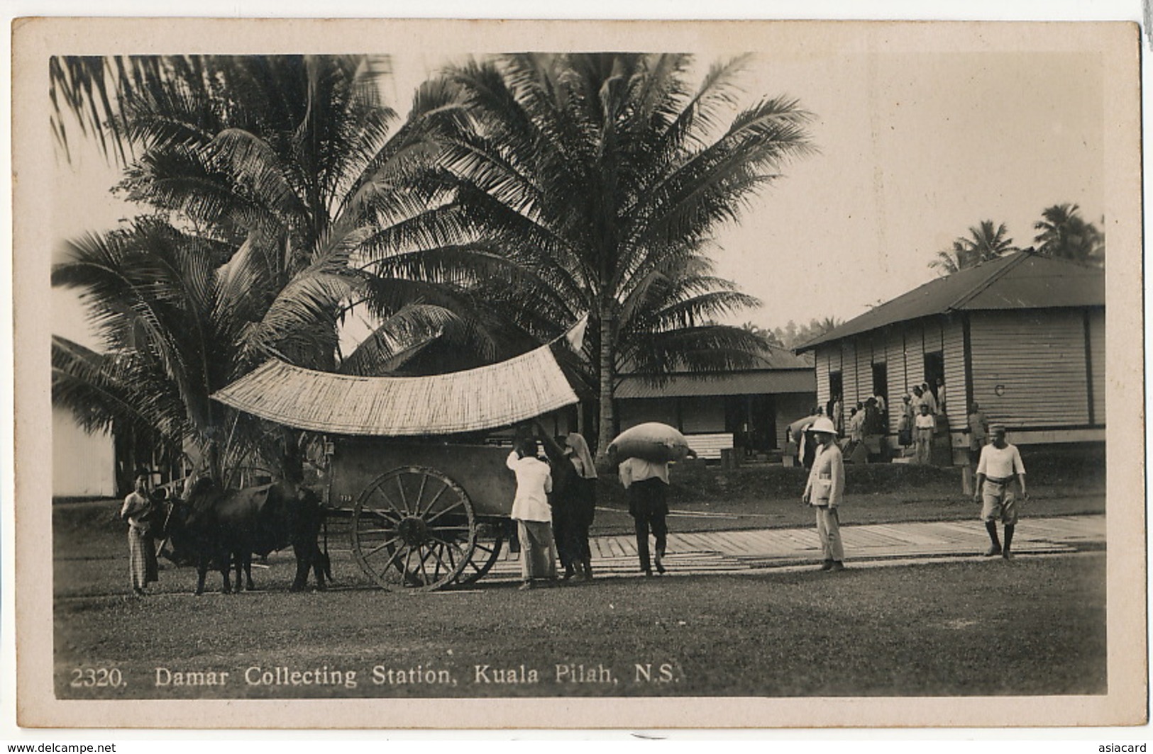 2320 Damar Collecting Station Kuala Pilah N.S. Malacca  Back British Empire Exhibition Malaya Pavilion 1924 - Malaysia