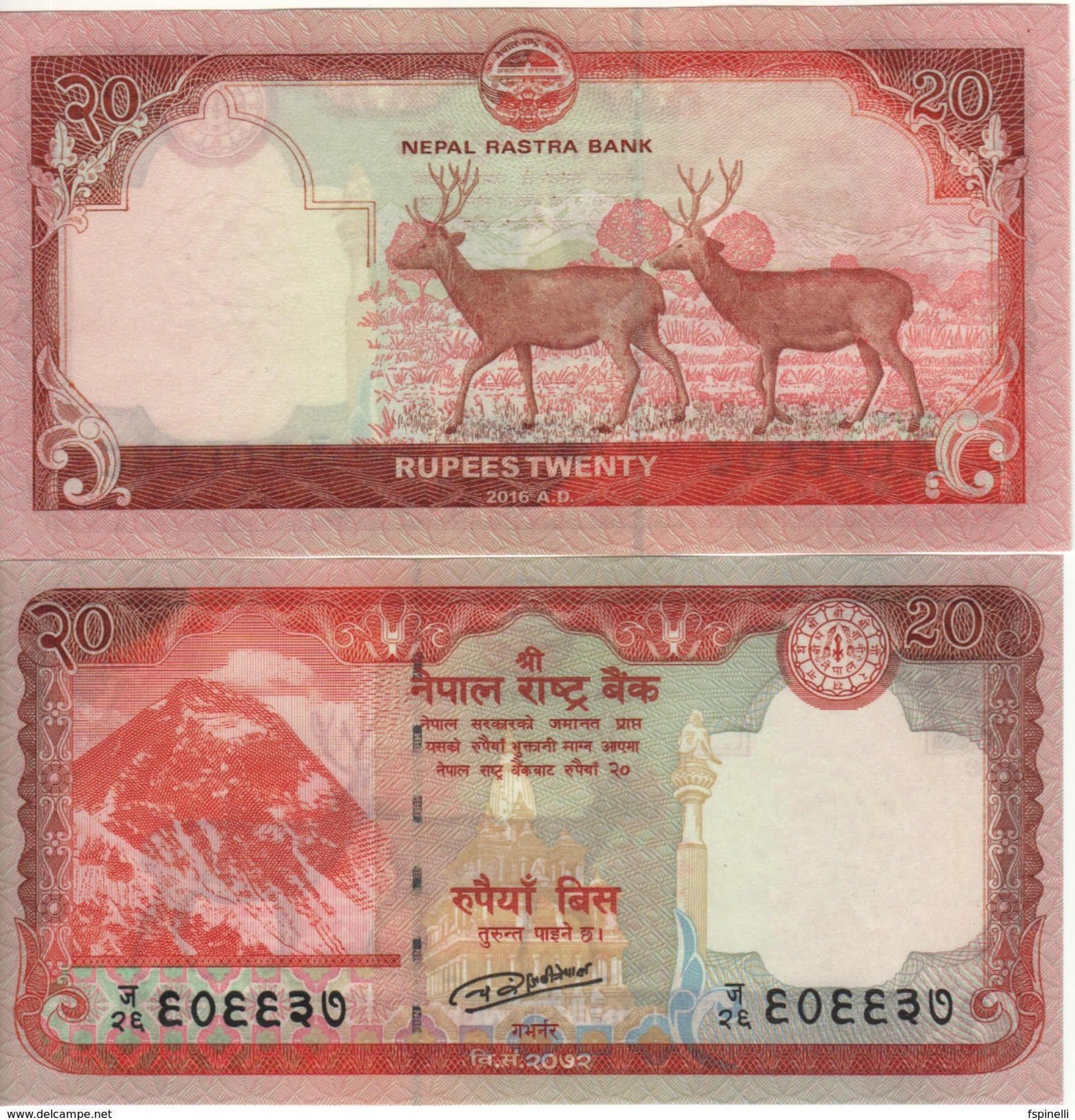 NEPAL  NEW 20 Rupees  "just Issued"  With 2 Deer At Back    Pnew   2016    UNC - Nepal