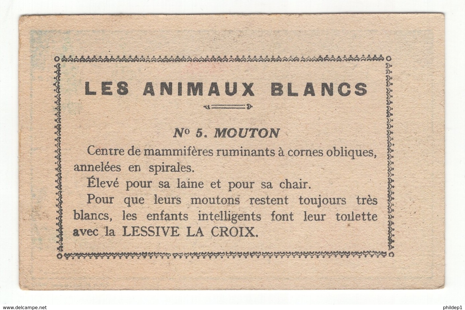 Chromos: Les Animaux Blancs. N°5 Mouton. Lessive La Croix - Autres & Non Classés