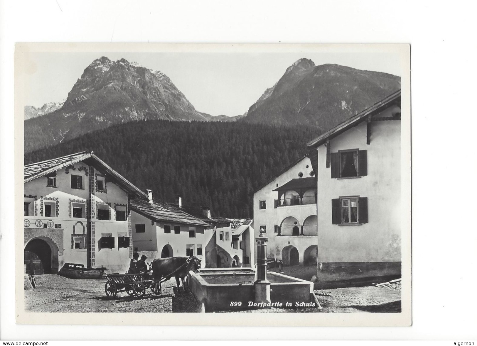 18350 - Dorfpartie In Schuls Attelage Vache Fontaine  (format 10X15) - Autres & Non Classés