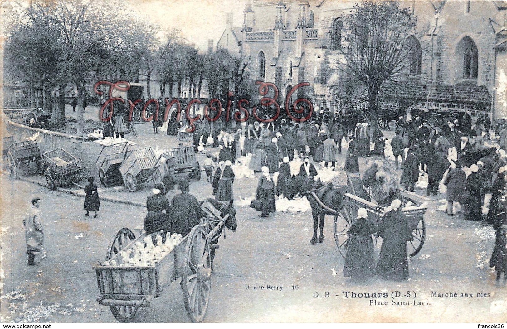 (79) THOUARS - Marché Aux Oies - Place Saint St Laon - Thouars