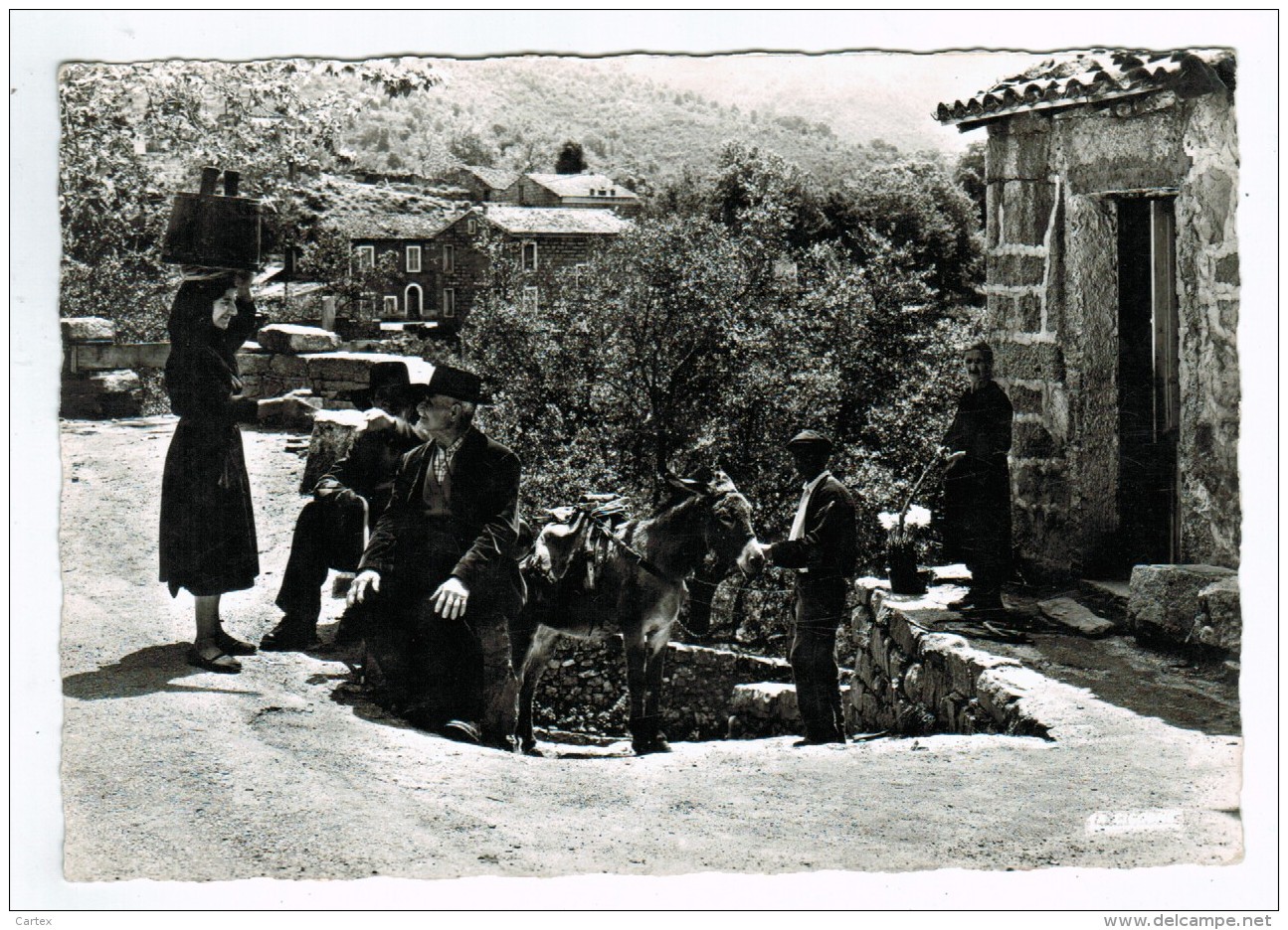 19693 CPM  Scènes Corses Au Village D' OLIVESE ! , Jolie   Carte Photo   ACHAT DIRECT - Autres & Non Classés