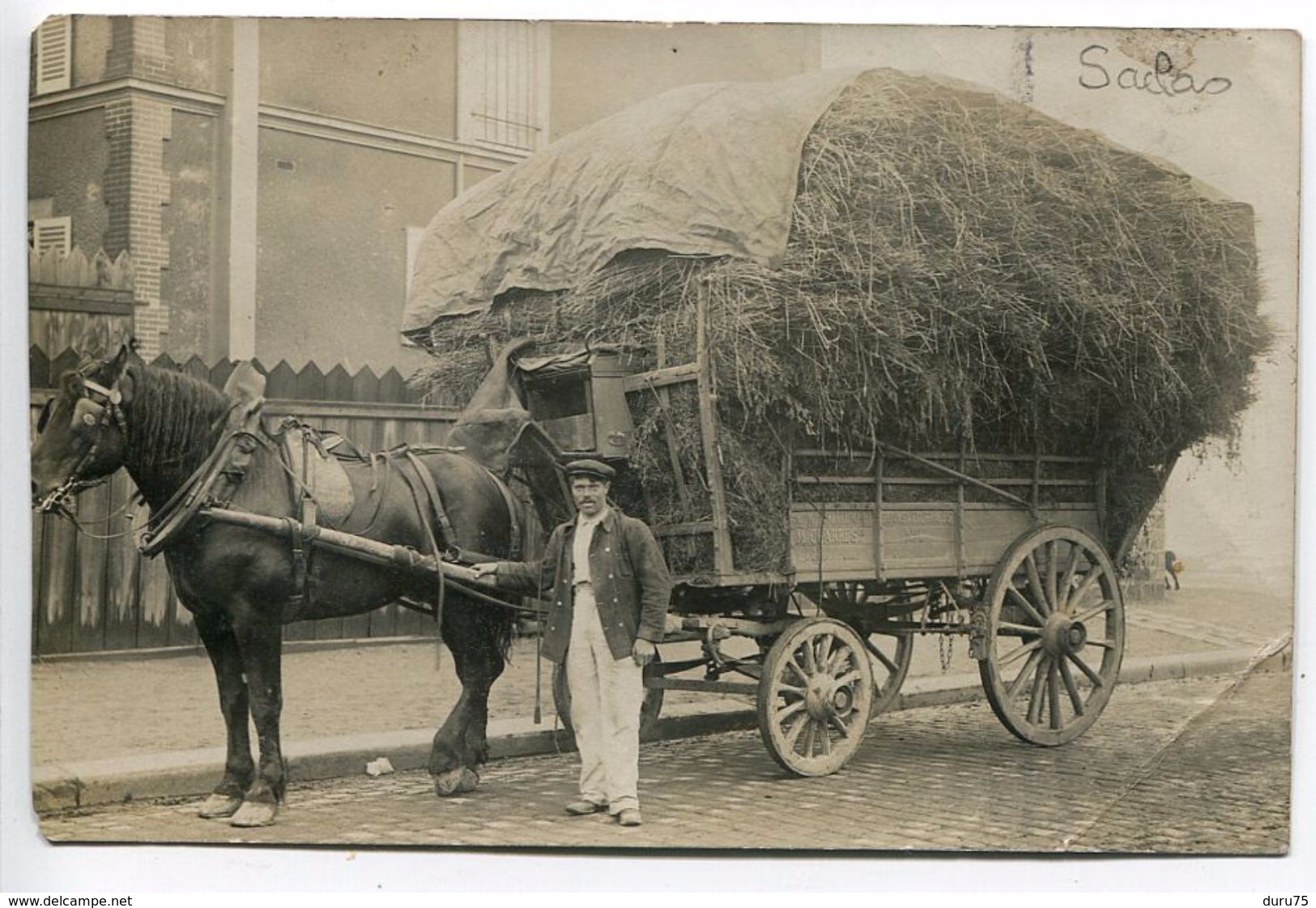 Photo Carte Superbe Plan Attelage Cheval Charrette De Foin Avec Homme Paysan - SACLAS Essonne Mention + Cachet Verso - Teams