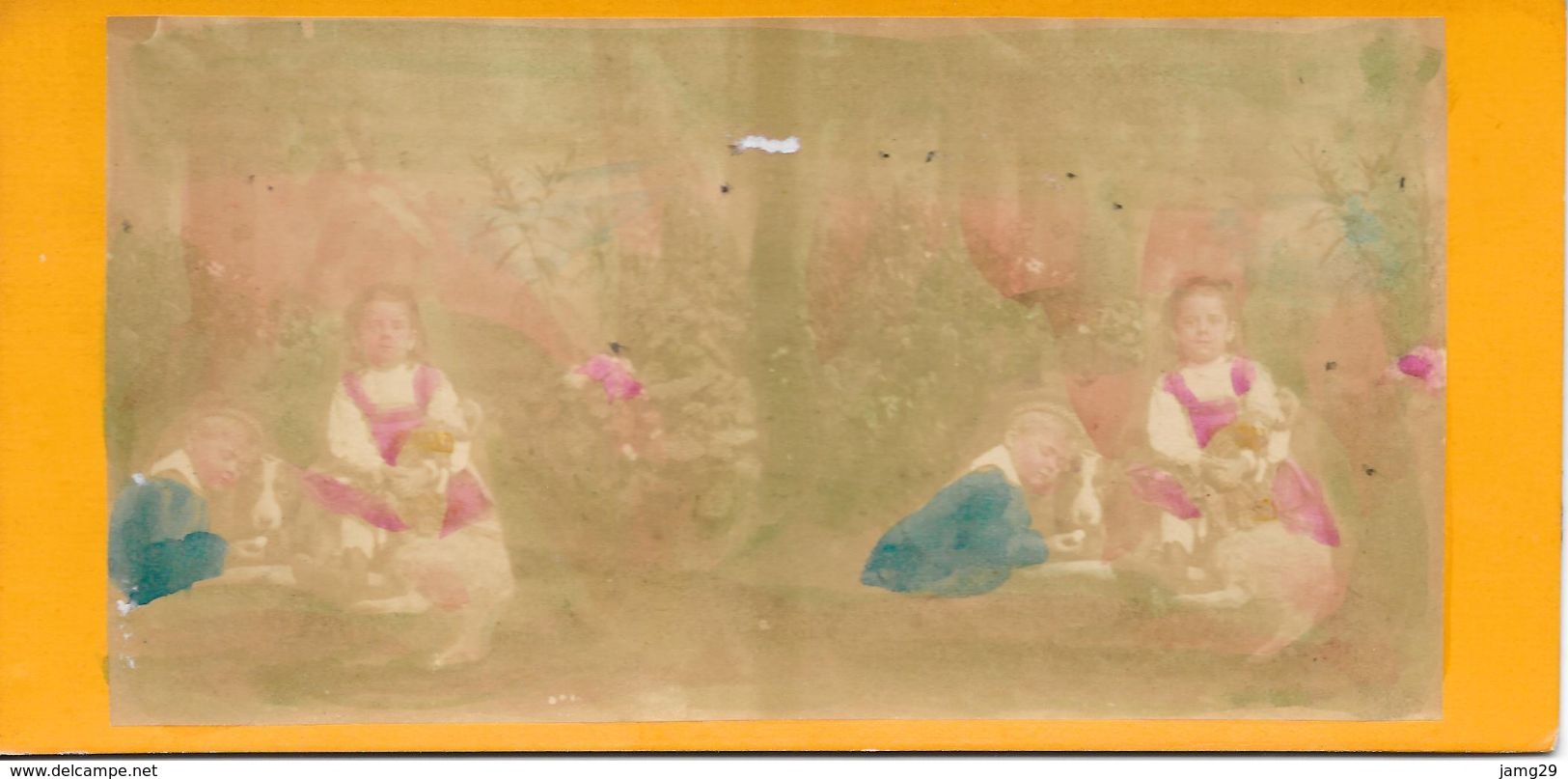 Stereoscoopfoto, Kinderen Met Hond, Ingekleurd, Ca. 1915 - Stereoscoop