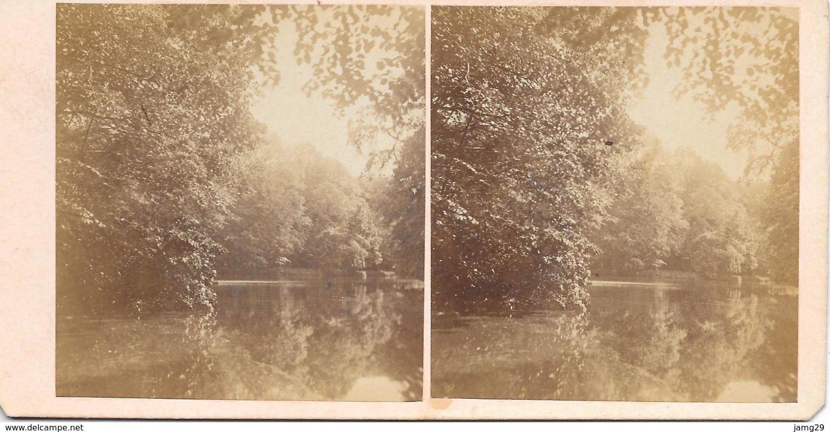 Stereoscoopfoto, Water/Ven/Meer In Een Bos, Ca. 1920 - Stereoscopic