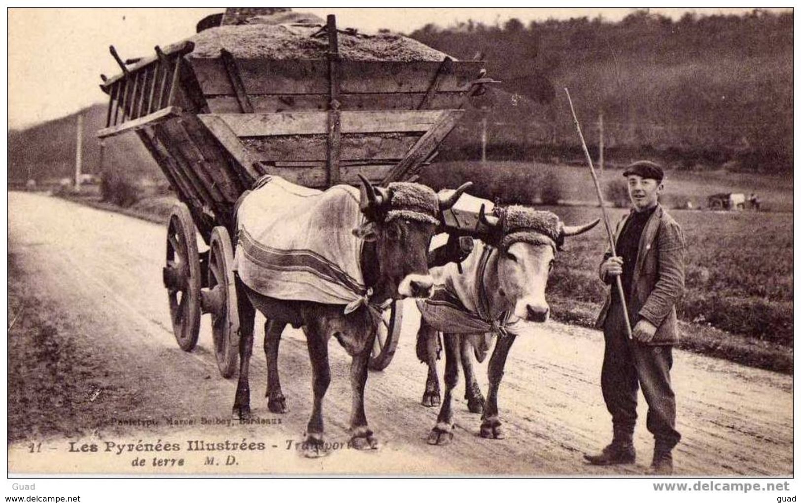 LES PYRENNES ILLUSTREES - TRANSPORT DE TERRE ATTELAGE DE BOEUFS - Bearn