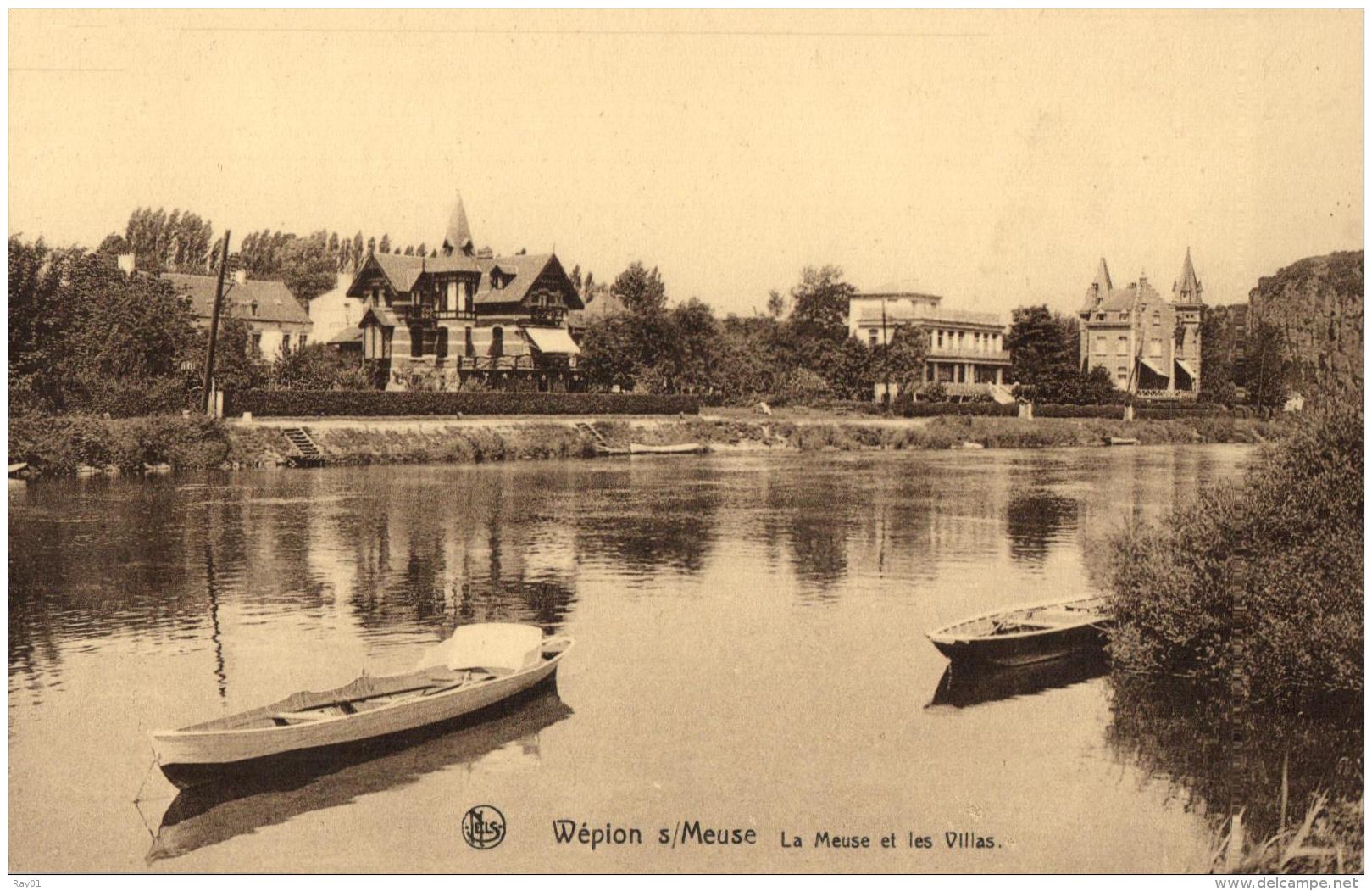 BELGIQUE - NAMUR - WEPION S*MEUSE - La Meuse Et Les Villas. - Namur