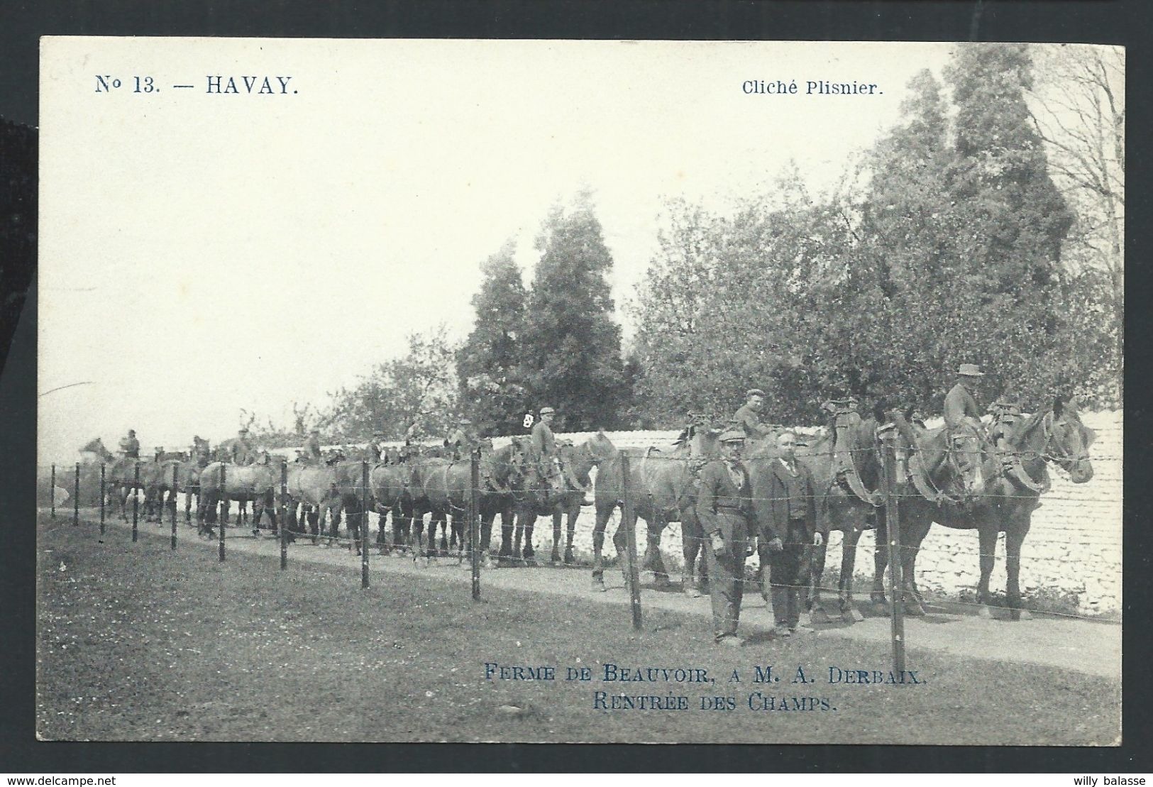 +++ CPA - HAVAY - Ferme De Beauvoir - Derbaix - Rentrée Des Champs - Cheval   // - Quévy