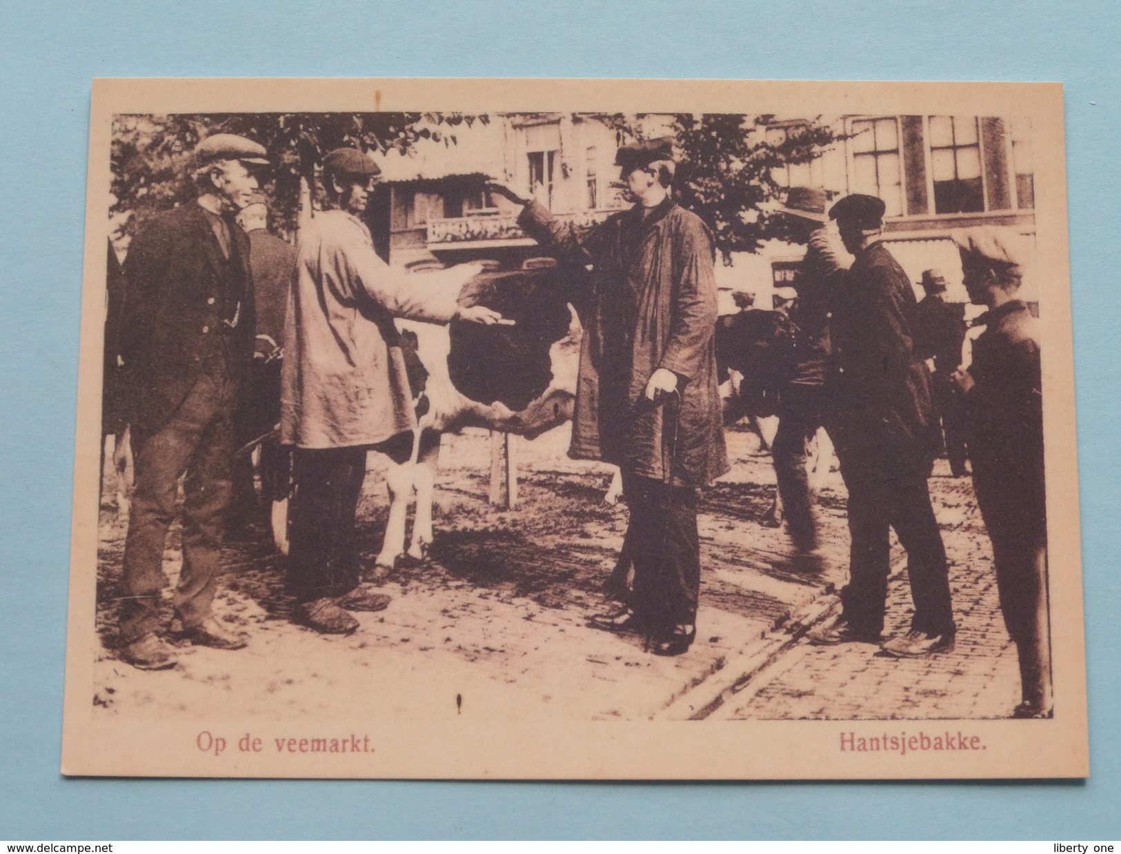 COWS In The PICTURE ( Hand Miltenburg / Reimer Strikwerda ) ROODBONT > Met 5 CP / PK Copycards ( Zie Foto's ) ! - Vaches