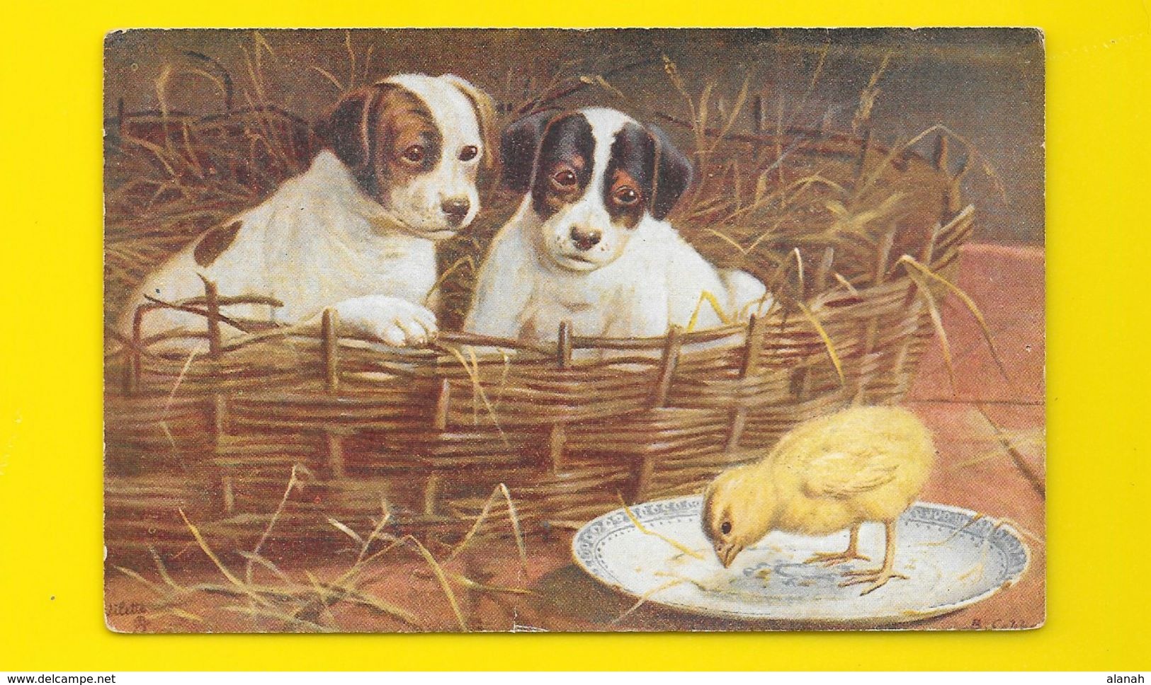 Chiots Et Poussin "Oilette" - Tuck, Raphael