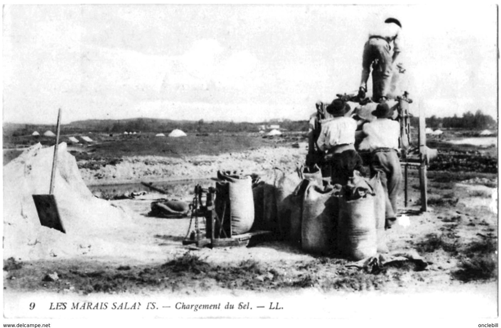 Guérande Loire Inférieure Chargement Sel Marais Salants 1914 état Superbe - Guérande