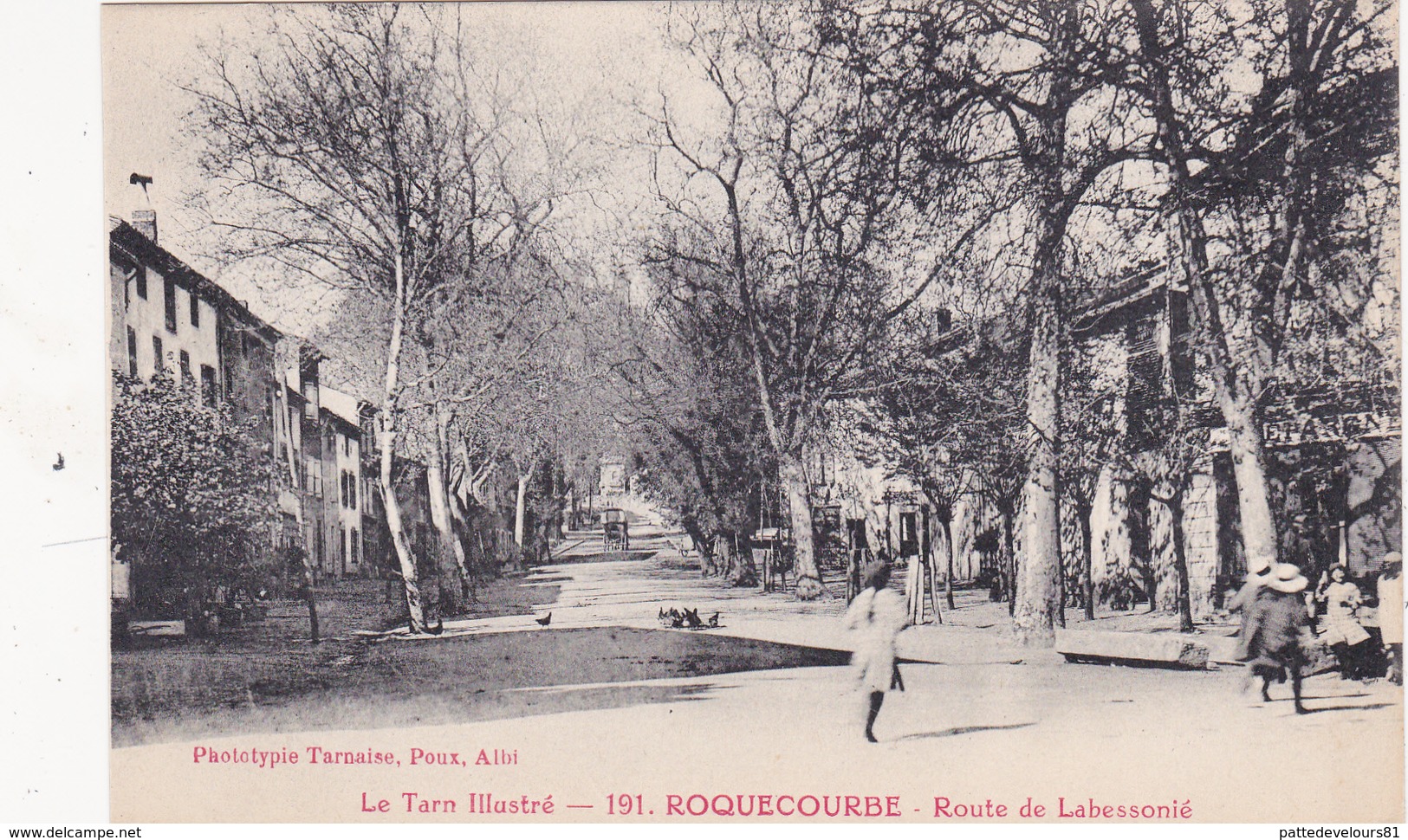 CPA (81) ROQUCOURBE Route De Labessonié N° 191 - Roquecourbe