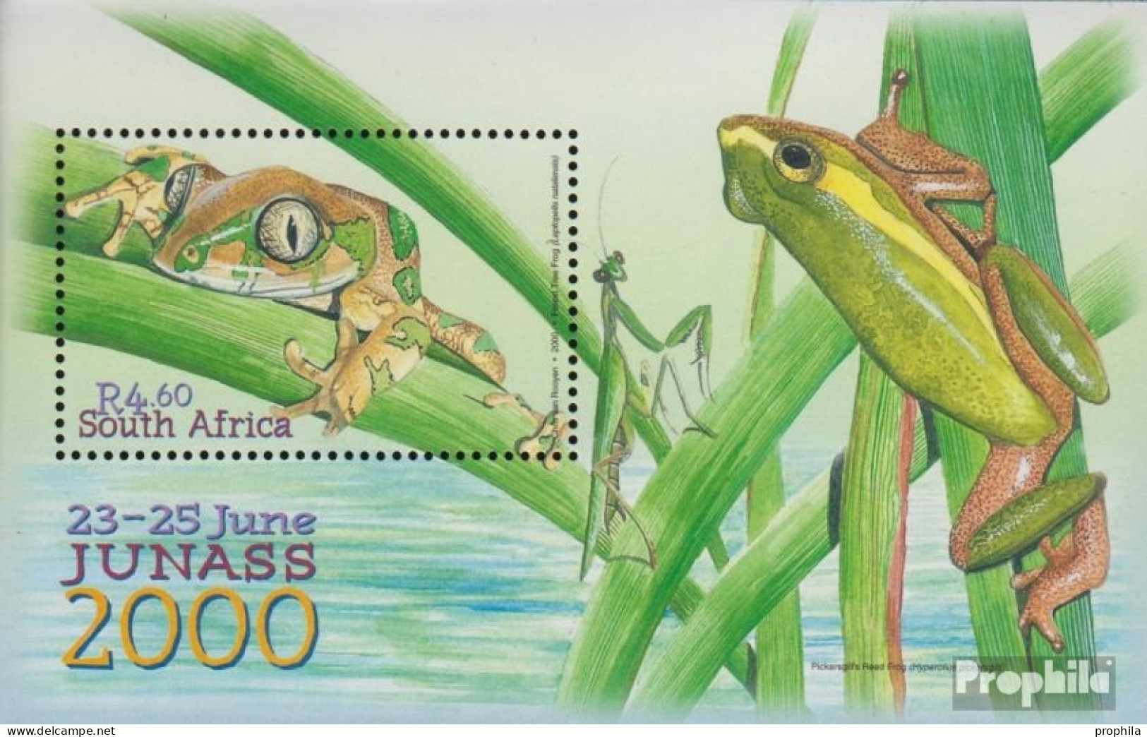 Südafrika Block81 (kompl.Ausg.) Postfrisch 2000 Natal-Waldsteiger - Unused Stamps