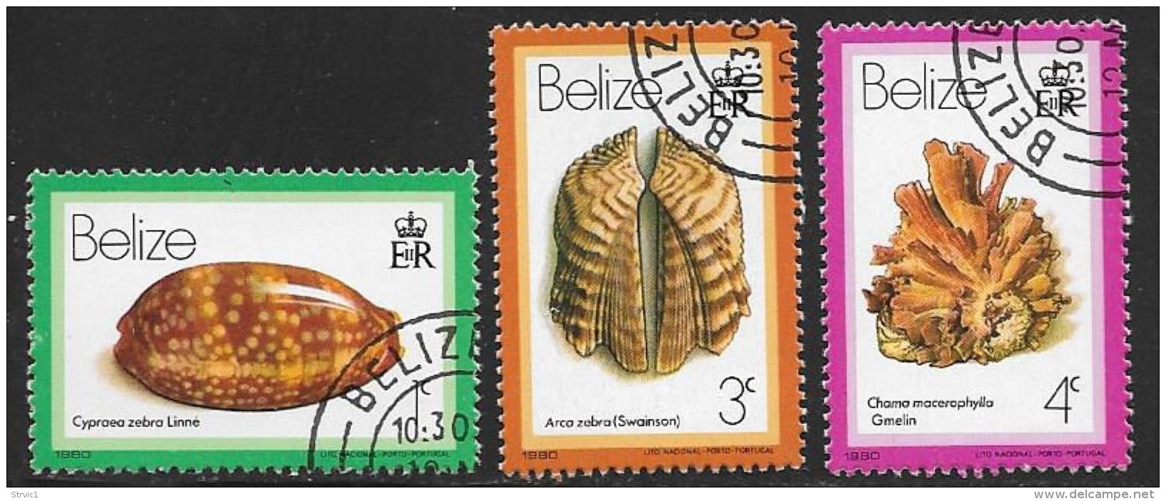 Belize, Scott # 471, 473-4 Cto Used Seashells, 1980 - Belize (1973-...)