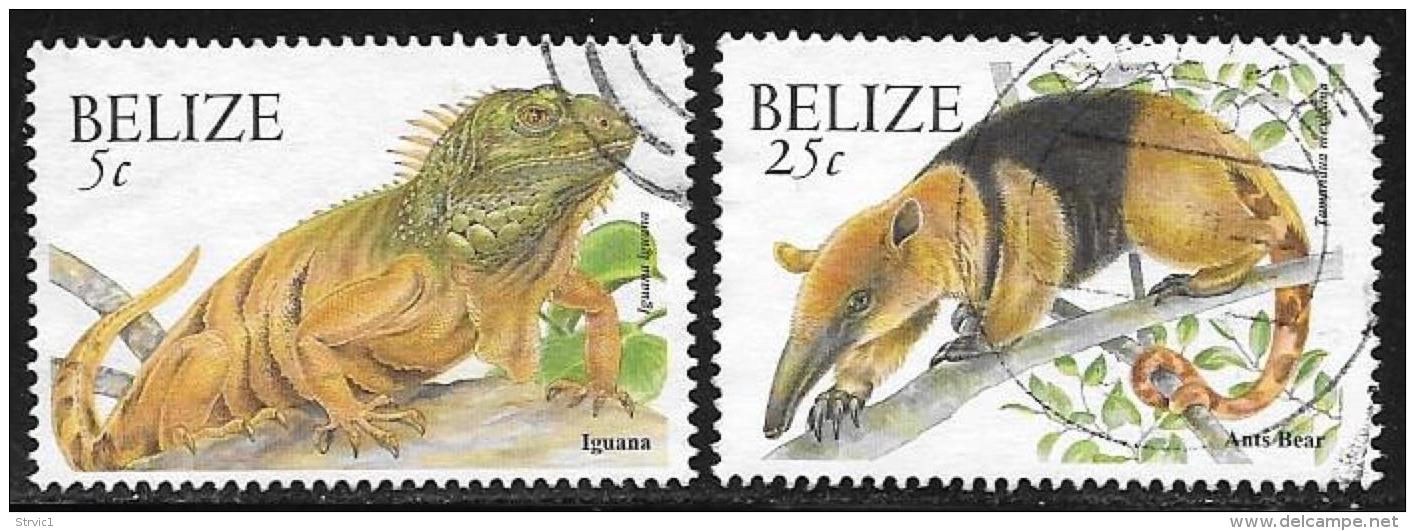 Belize, Scott # 1119,1122 Used Iguana, Ant Bear, 2000 - Belize (1973-...)