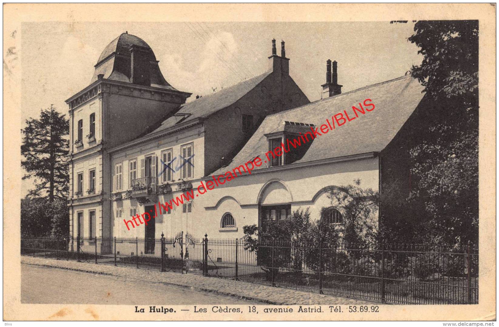 Les Cèdres - Avenue Astrid - La Hulpe - La Hulpe