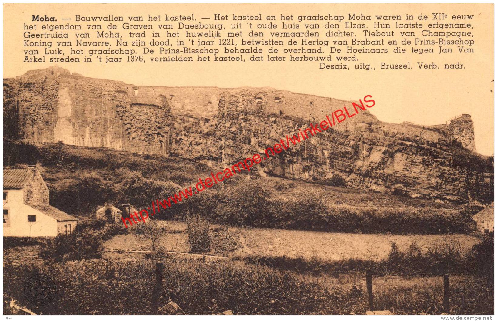 Bouwvallen Van Het Kasteel - Ruines Du Château - Moha - Wanze