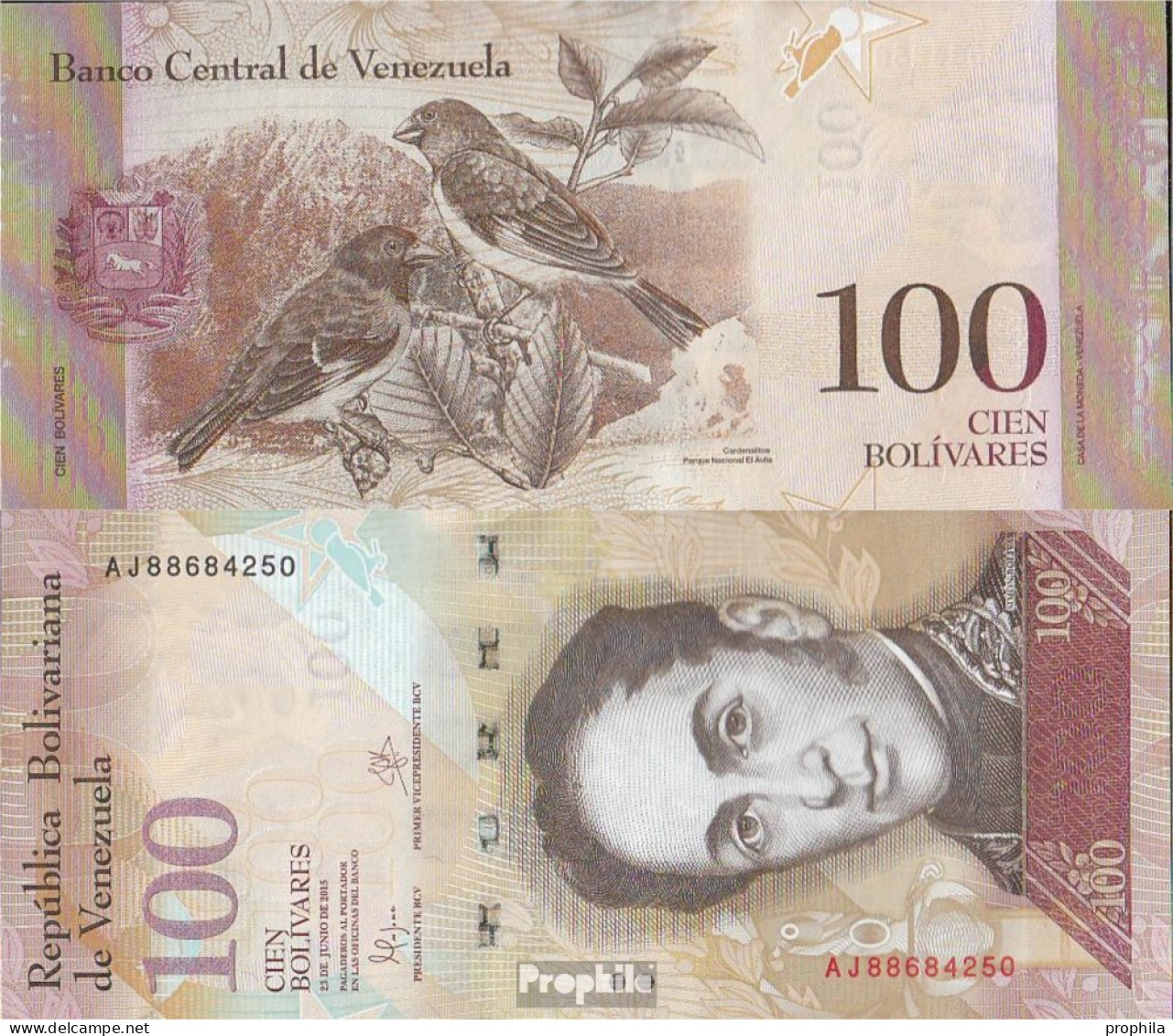 Venezuela Pick-Nr: 93i Bankfrisch 2015 100 Bolivares - Venezuela