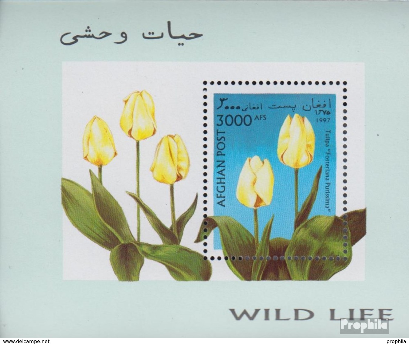 Afghanistan Mi.-Nr.: Block93 (kompl.Ausg.) Postfrisch 1997 Tulpenzüchtungen - Afghanistan