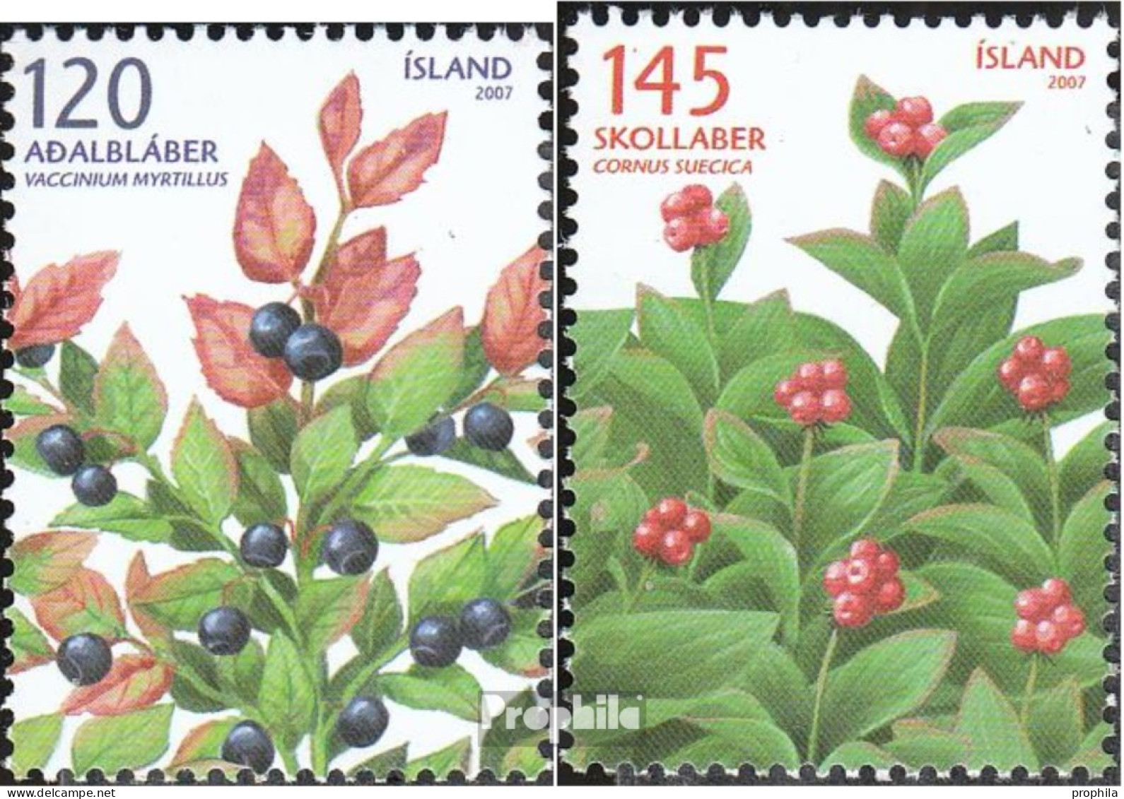 Island 1175-1176 (kompl.Ausg.) Postfrisch 2007 Beeren - Unused Stamps