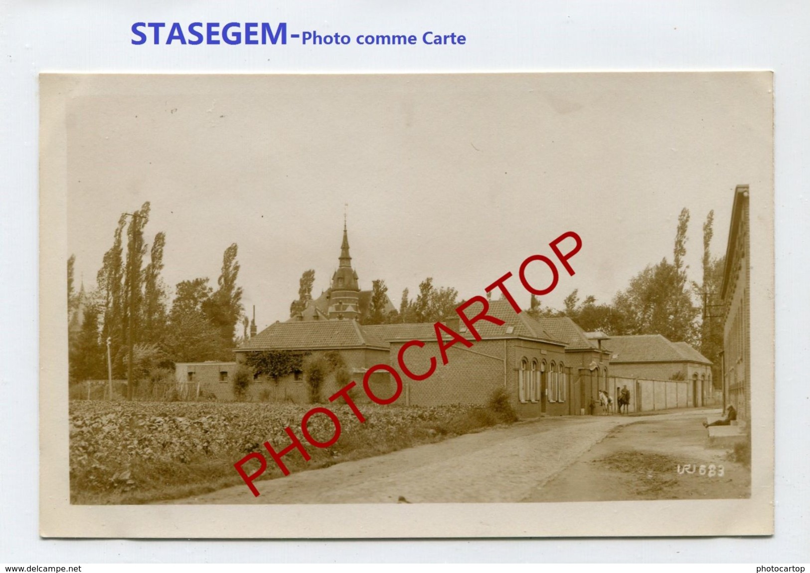 STASEGEM-Photo Allemande-GUERRE 14-18-1 WK-BELGIEN-BELGIQUE-Comme Une CP Sans Dos- - Harelbeke