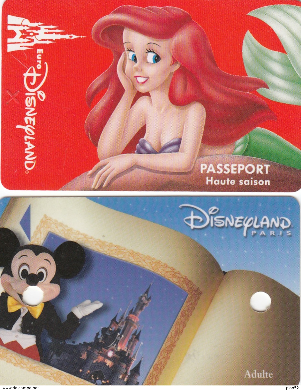 11160-N. 2 BIGLIETTI INGRESSO DISNEYLAND-USATI - Biglietti D'ingresso