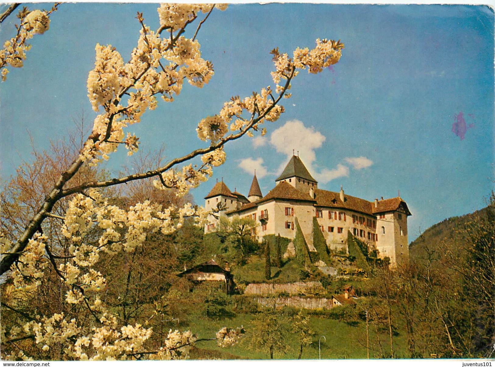 CPSM  Vevey-Château De Blonay    L 2467 - Vevey