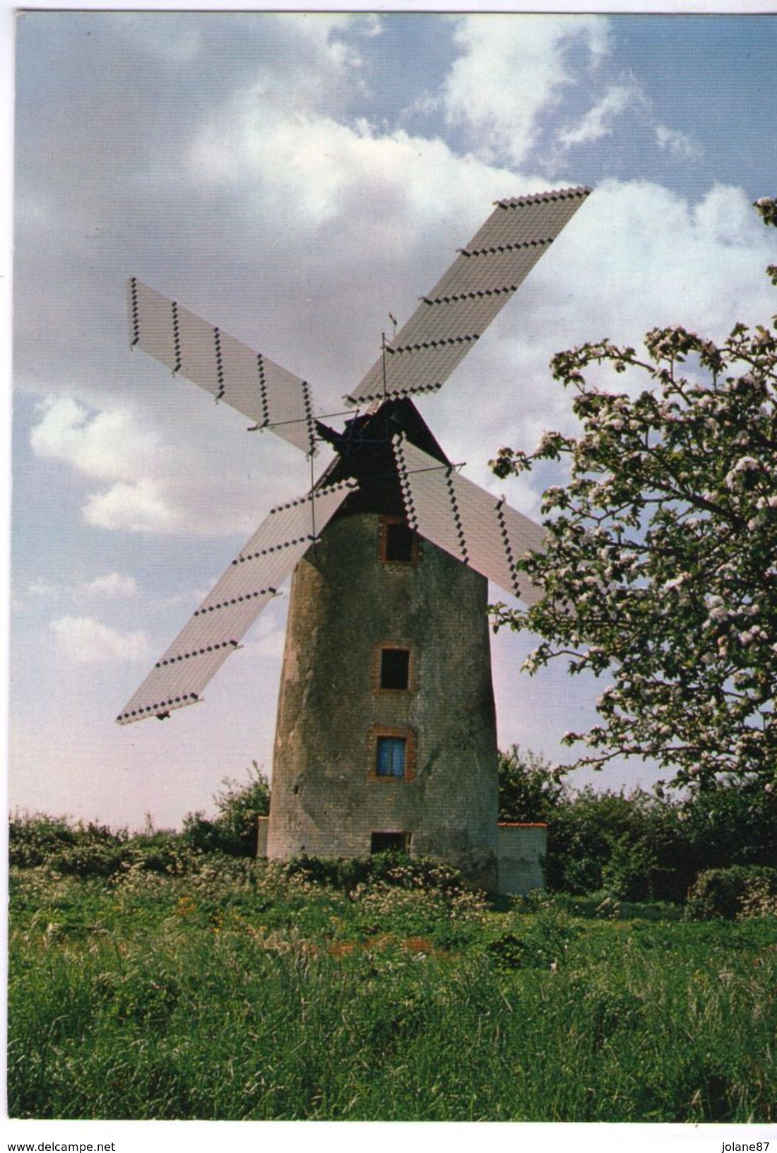 CPSM    85   VENDEE    MOULIN DE RAIRE SALLERTAINE - Molinos De Viento