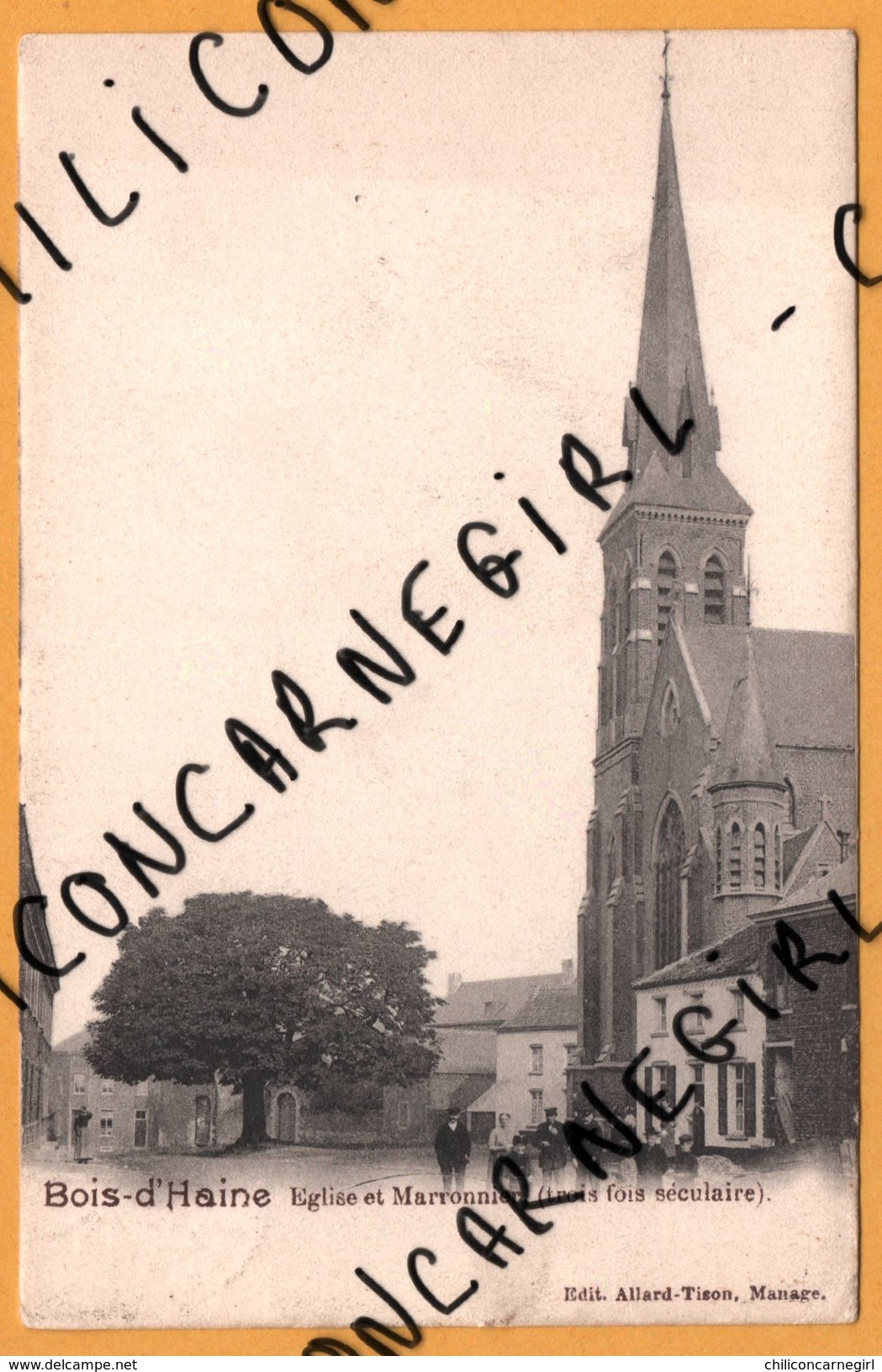 Bois D'Haine - Eglise Et Marronnier - Trois Fois Séculaire - Animée - ALLARD TISON - 1902 - Manage