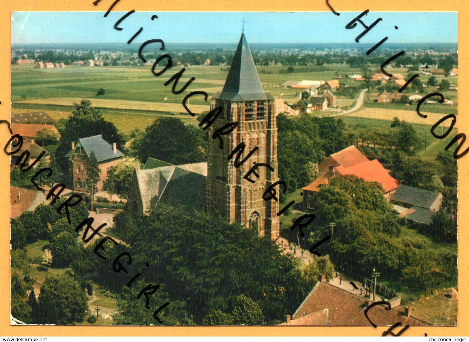 Weelde - Kerk St Michiel - Luchtopname - DE BONT - SPADEM - Colorisée - Ravels