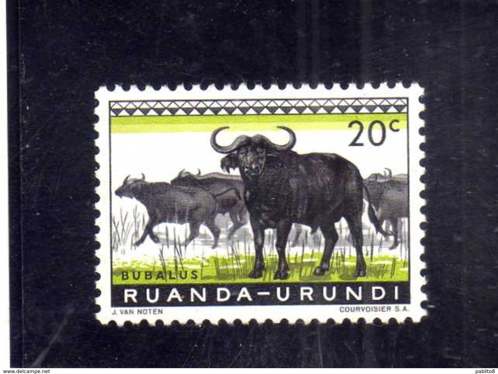 RUANDA URUNDI 1959 1961 FAUNA CAPE BUFFALOES ANIMAL ANIMALE BUFALO DEL CAPO CENT. 20c MH - Usati