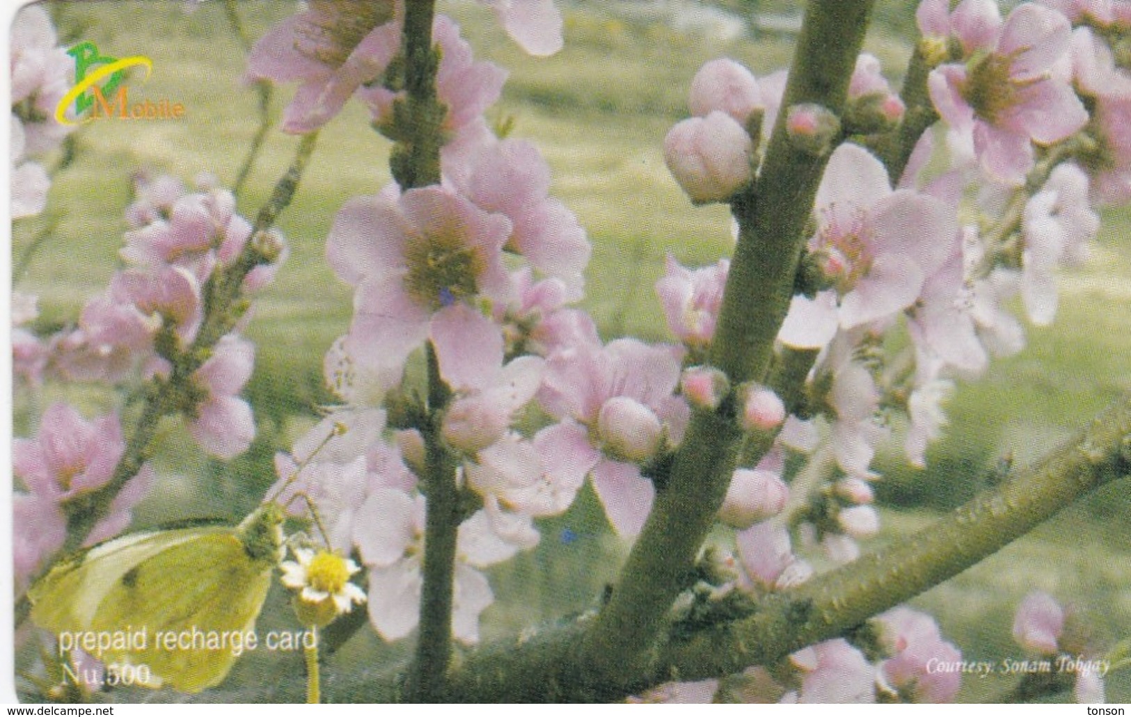 Bhutan, Nu.500 Flowers And Butterfly. - Bhoutan