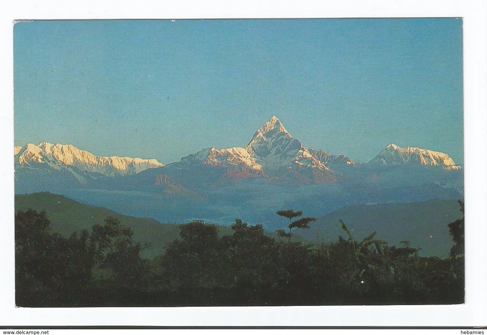 NEPAL - HIMALAYA - ANNAPURNA - - Népal