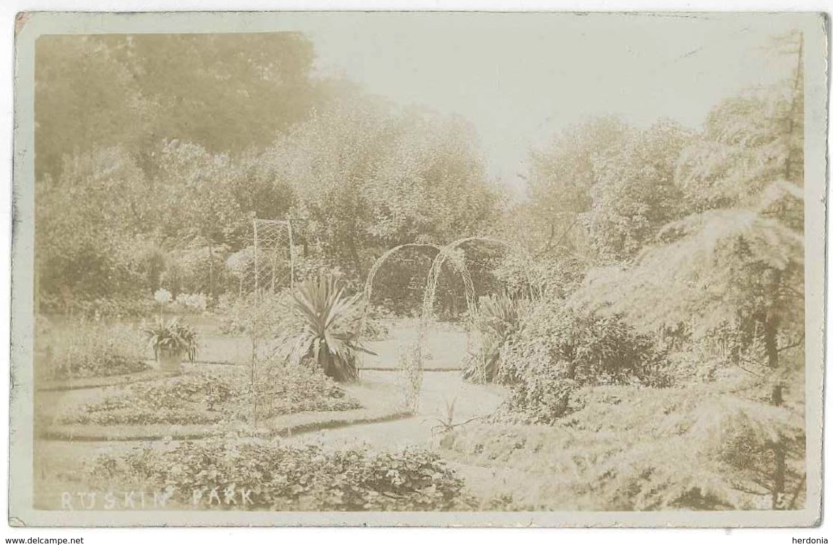 London Ruskin Park - Denmark Hill - Old Post Card Posted In 1911 To Belgium (Londres) - Other & Unclassified