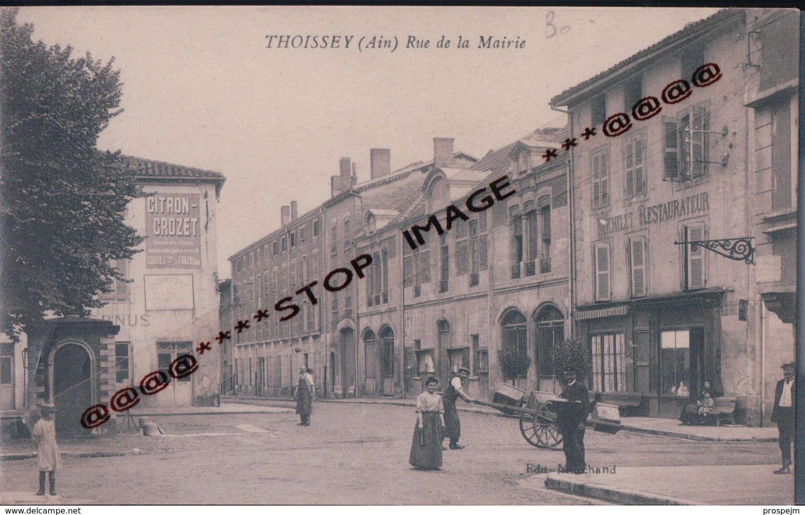 THOISSEY  RUE DE LA MAIRIE  FACTEUR CHARETTE  MICHELET RESTAURATEUR PUB CITRON CROSET  VERS 1900 - Non Classés