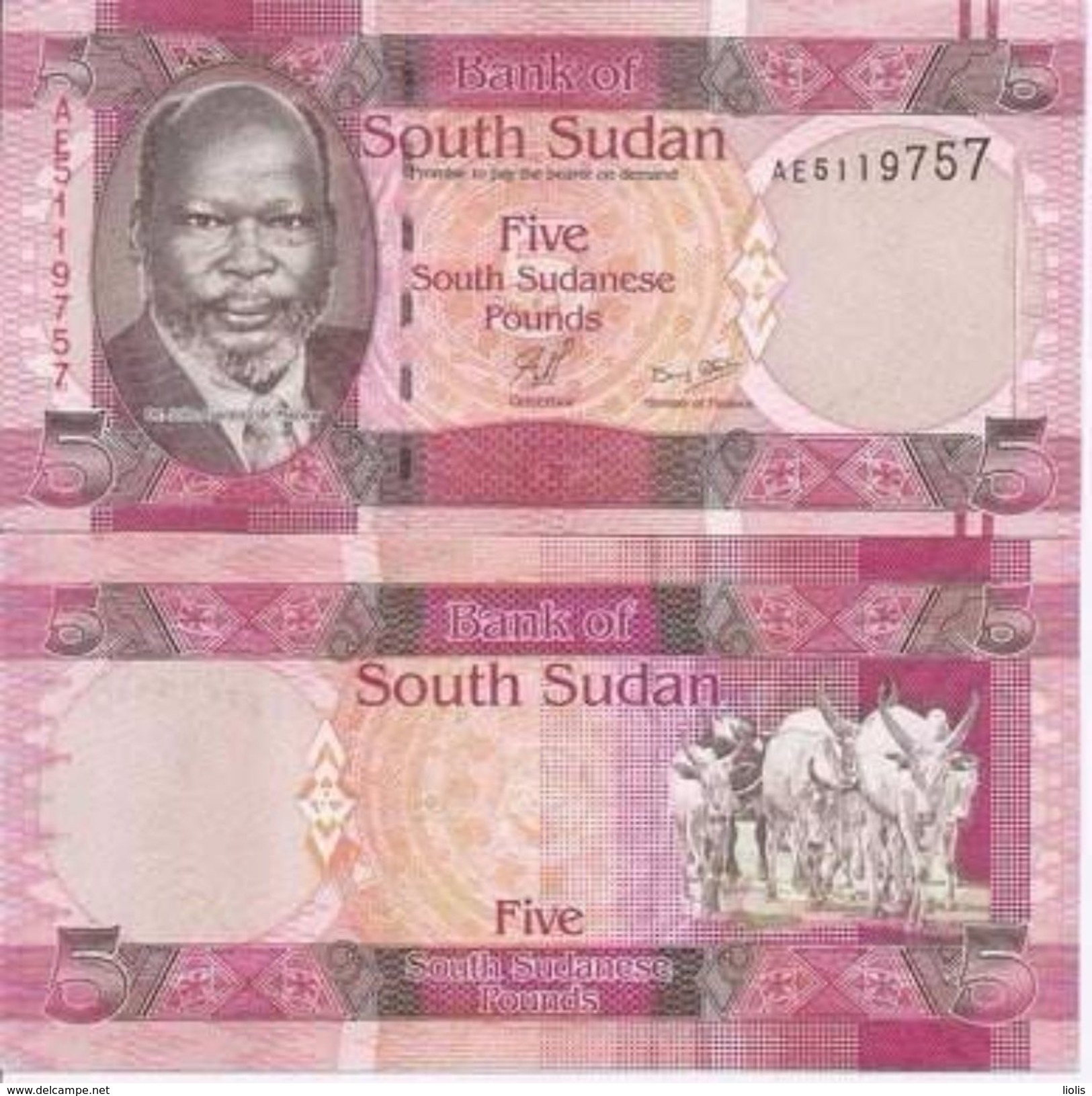 South Sudan P-6  5 P0ounds 2011  UNC - Sudan Del Sud